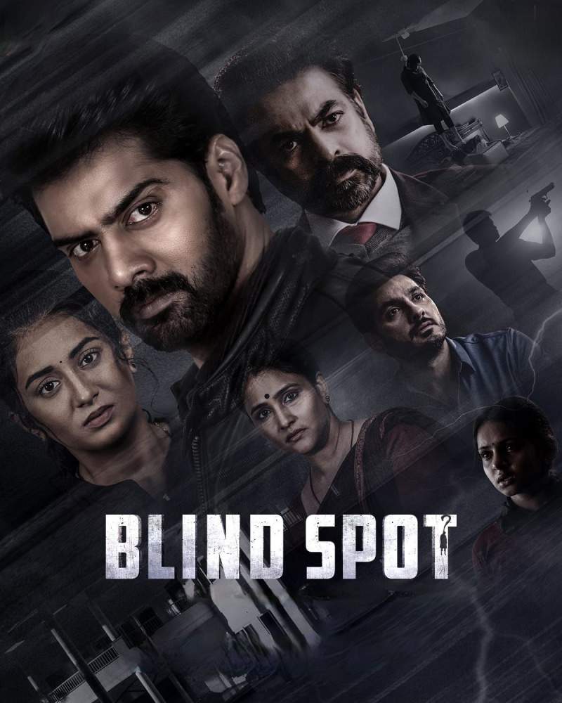 Free Blind Spot (2025) Dual Audio [Hindi & Telugu] Full Movie HD ESub